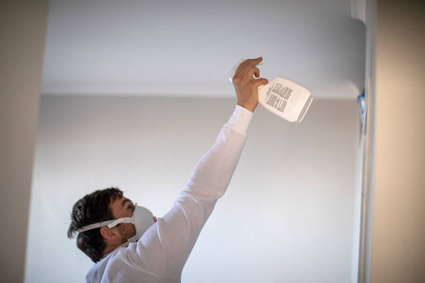 Best Toxic Mold Removal  in Penn Wynne, PA