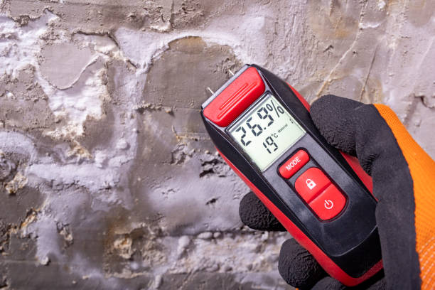Best Certified Mold Removal  in Penn Wynne, PA