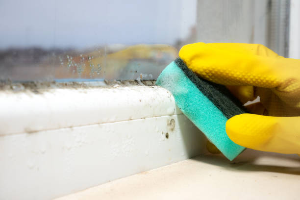 Crawl Space Mold Removal in Penn Wynne, PA
